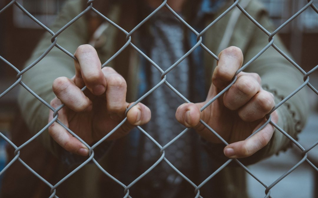 Asilo politico negli Stati Uniti.